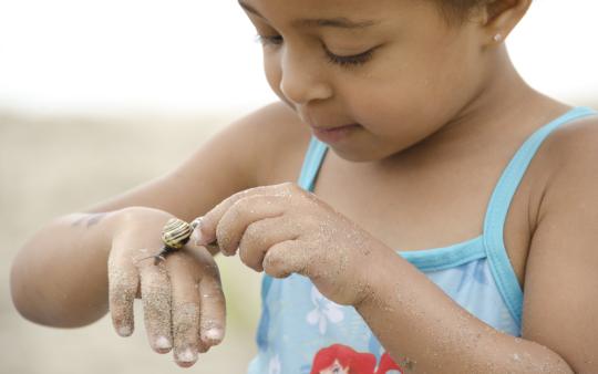 Rethinking Environmental Education