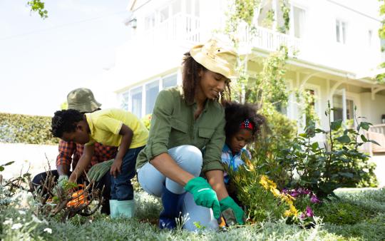 Family gardening in the summer