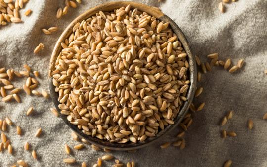 A bowl brimming with grains of farro.