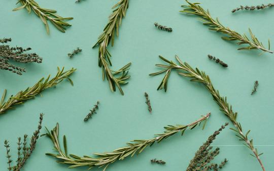 rosemary and herbs