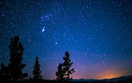 A starry night sky with silhouettes of trees in the foreground