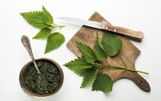 cutting board with stinging nettle leaves and a knife, next to a small bowl of pesto with a spoon