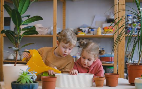 two young children with a potted plant. one watering the plant with a watering can