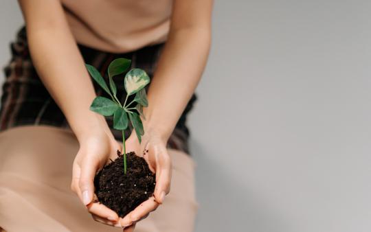 woman holding a plant with soil in her cupped hands