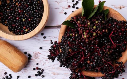 elderberry in bowls on a table