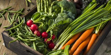 a box of freshly picked vegetables