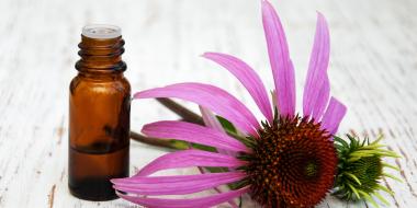 medicine jar next to echinacea flower