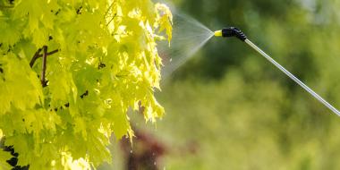 healthy plant spray