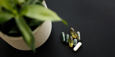 A collection of supplements next to a planter on a dark wooden table.