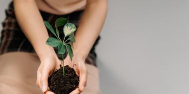 woman holding a plant with soil in her cupped hands