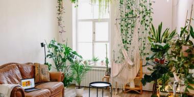 A brightly lit living space with plants and natural fabrics